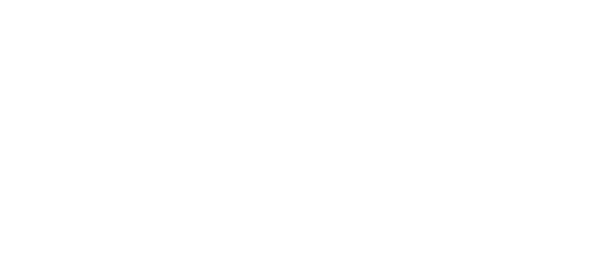 LeComp Simulation Services LLC